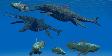 Triyas Shonisaurus deniz sürüngen