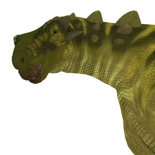 Δεινόσαυρος Talarurus κεφάλι — Φωτογραφία Αρχείου