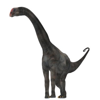 Brontomerus dinozor beyaz