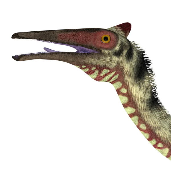 Pelecanimimus-dinosaurus hoofd — Stockfoto