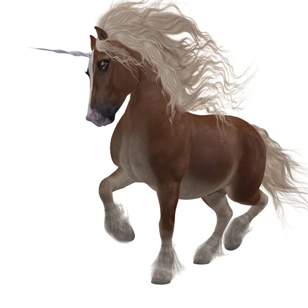 Shetland-Einhorn-Pony — Stockfoto