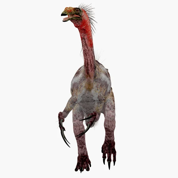 Therizinosaurus δεινόσαυρος σε λευκό — Φωτογραφία Αρχείου