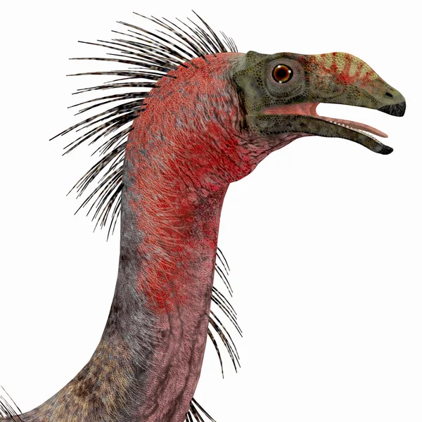 Terizinozaur dinozaura głowy — Zdjęcie stockowe