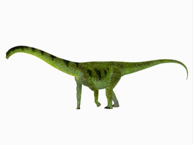 Puertasaurus dinozor yan görünüm