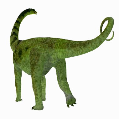 Puertasaurus dinozor kuyruk
