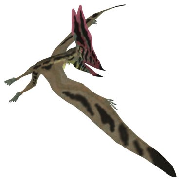 Thalassodromeus Pterosaur uçuş