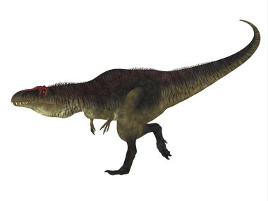 Tyrannotitan dinozor yan görünüm