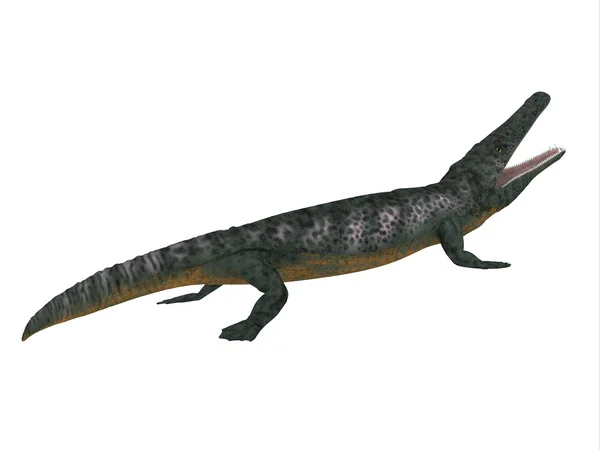 Perfil lateral de Archegosaurus — Fotografia de Stock