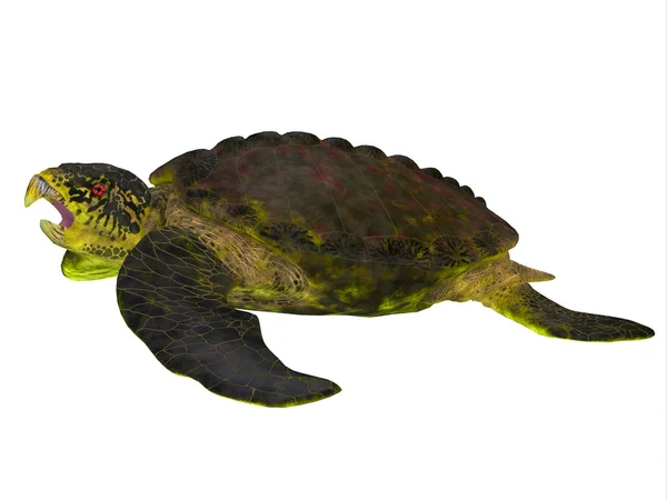 Archelon ischyros schildpad zijaanzicht — Stockfoto