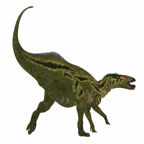 Хвост динозавра Шантунгозавра — стоковое фото