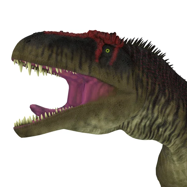 Голова Tyrannotitan динозаврів — стокове фото