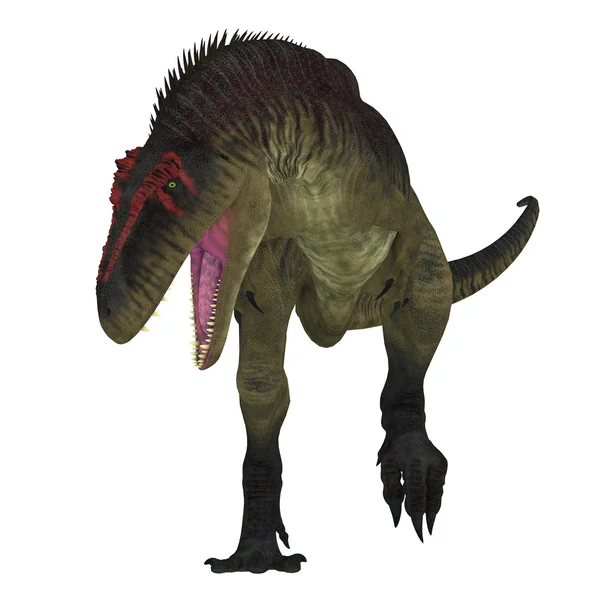 Тираннозавр Динозавр на белом — стоковое фото