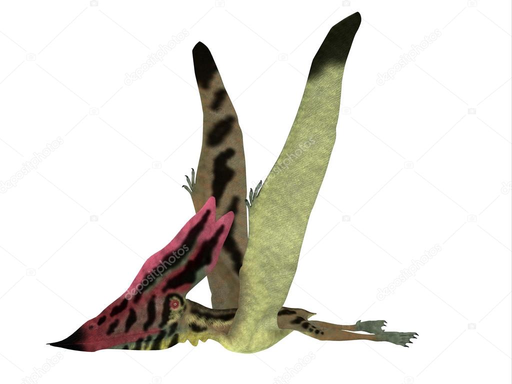Thalassodromeus Pterosaur Side View