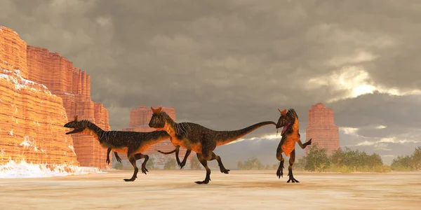 Pack Cryolophosaurus Theropod Dinosaurs Desert Trail Prey Jurassic Period — Stock Photo, Image