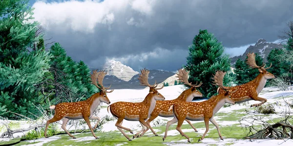 更新世のヨーロッパの常緑樹林の中で 休閑期の鹿の群れが一緒に走る — ストック写真
