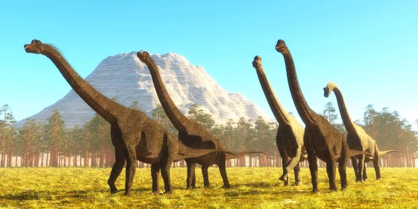 Brachiosaurus Era Sauropode Erbivoro Alto Che Visse Durante Giurassico Del — Foto Stock