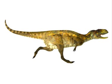 Abelisaurus, Arjantin 'in Kretase Dönemi' nde yaşamış bir Theropod etobur dinozoruydu..