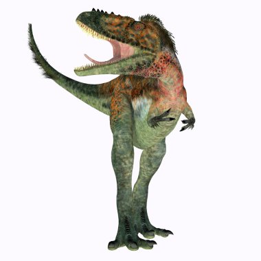 Alioramus kumandası, Tebeşir Dönemi 'nde Moğolistan' da yaşamış bir Theropod etobur dinozoruydu..