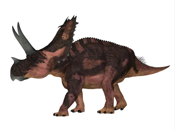 초식성 Agujaceratops 백악기에 텍사스에 살았다 — 스톡 사진