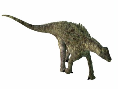 Ampelosaurus, Kretase Dönemi boyunca Avrupa 'da yaşamış zırhlı bir Sauropod otobur dinozorudur..