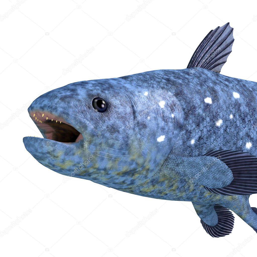 The Coelacanth fish was thought to be extinct but has found to still be a viable creature living in the world's oceans.