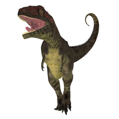 Mapusaurus, Kretase Dönemi boyunca Arjantin 'de yaşamış etobur bir theropod dinozoruydu..