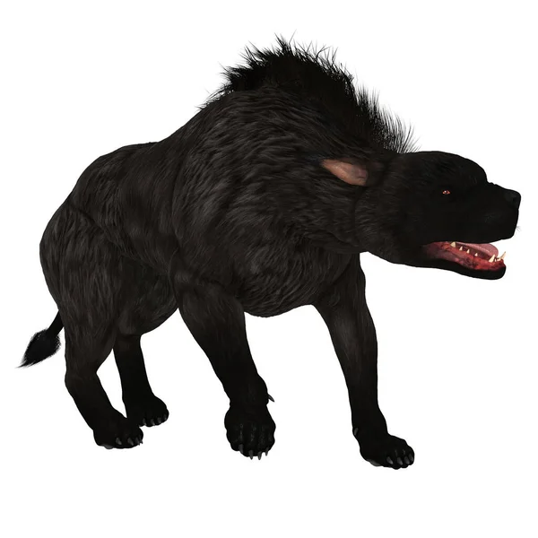 猎狗也被称为 地狱犬 是一种神话中的狗 它用炽热的红眼睛守卫地狱之门 — 图库照片