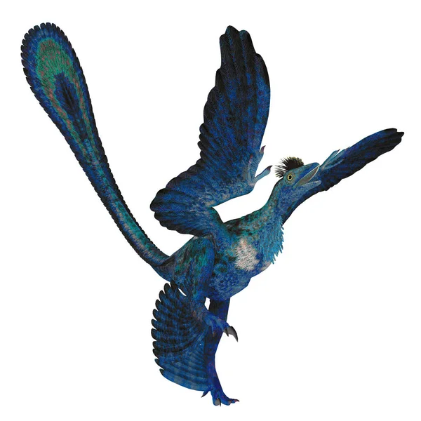 Microraptor War Ein Fleischfressender Vierflügeliger Reptilienvogel Der Während Der Kreidezeit — Stockfoto