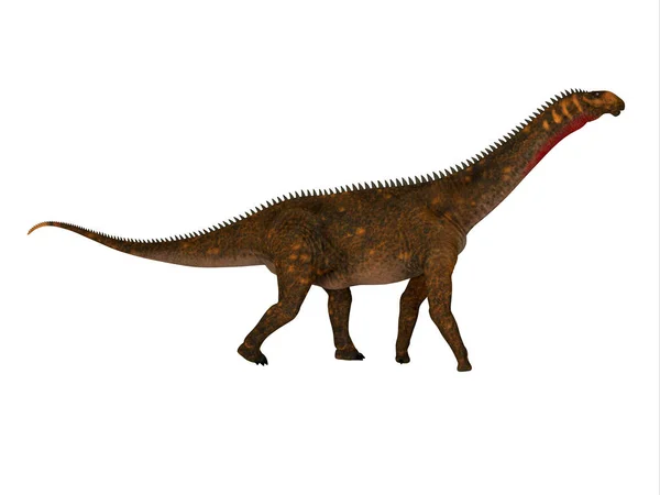 Mierasaurus Een Plantenetende Sauropode Dinosaurus Die Leefde Utah Verenigde Staten — Stockfoto