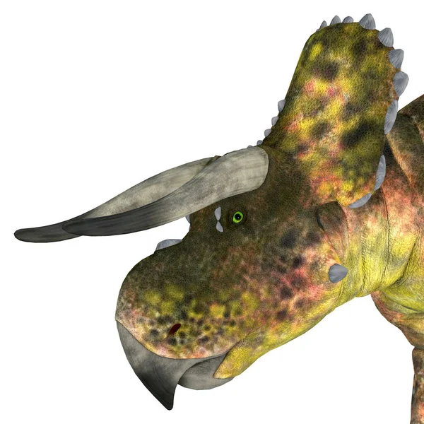 Nasutoceratops Herbivorous Ceratopsid Dinosaur Lived Utah Usa Cretaceous Period — Stock Photo, Image