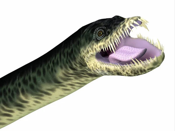 Styxosaurus Era Rettile Plesiosauro Marino Predatore Che Viveva Nei Mari — Foto Stock