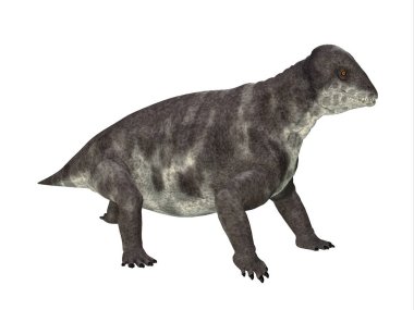 Criocephalosaurus, Güney Afrika 'nın Permian Dönemi' nde yaşamış terapist bir dinozordur..