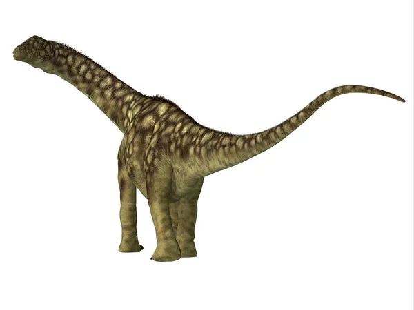 Argentinosaurus Egy Növényevő Sauropod Dinoszaurusz Volt Ami Argentínában Élt Kréta — Stock Fotó