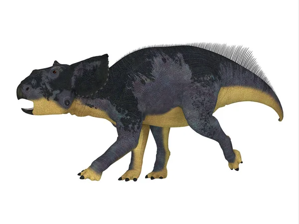 Chasmosaurus Een Ceratopsiaanse Plantenetende Dinosaurus Die Leefde Alberta Canada Tijdens — Stockfoto