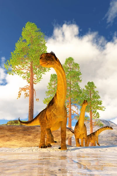 Una Manada Dinosaurios Camarasaurus Buscan Vegetación Para Comer Durante Edad — Foto de Stock