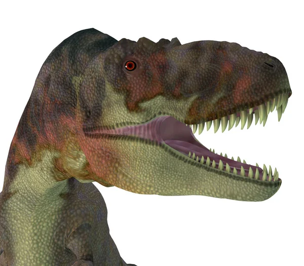 ダステロサウルス Daspletosaurus は白亜紀の北米に生息した肉食性の獣脚類恐竜である — ストック写真