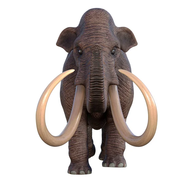 Ice Age North America Columbian Mammoth Megafauna Continent — Stock Photo, Image