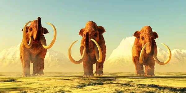 Una Mandria Mammut Colombiani Cammina Insieme Durante Periodo Pleistocenico Del — Foto Stock