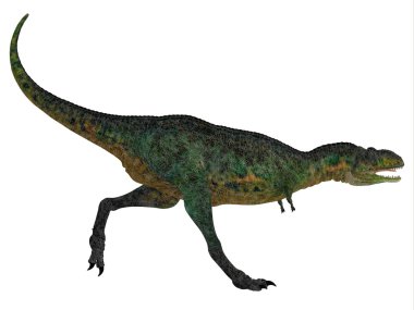 Beyaz aucasaurus