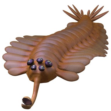 Cambrian Opabinia clipart