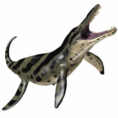 Beyaz kronosaurus