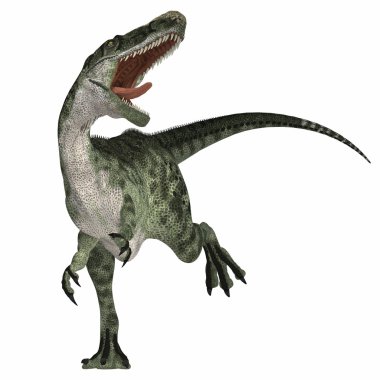 Beyaz monolophosaurus