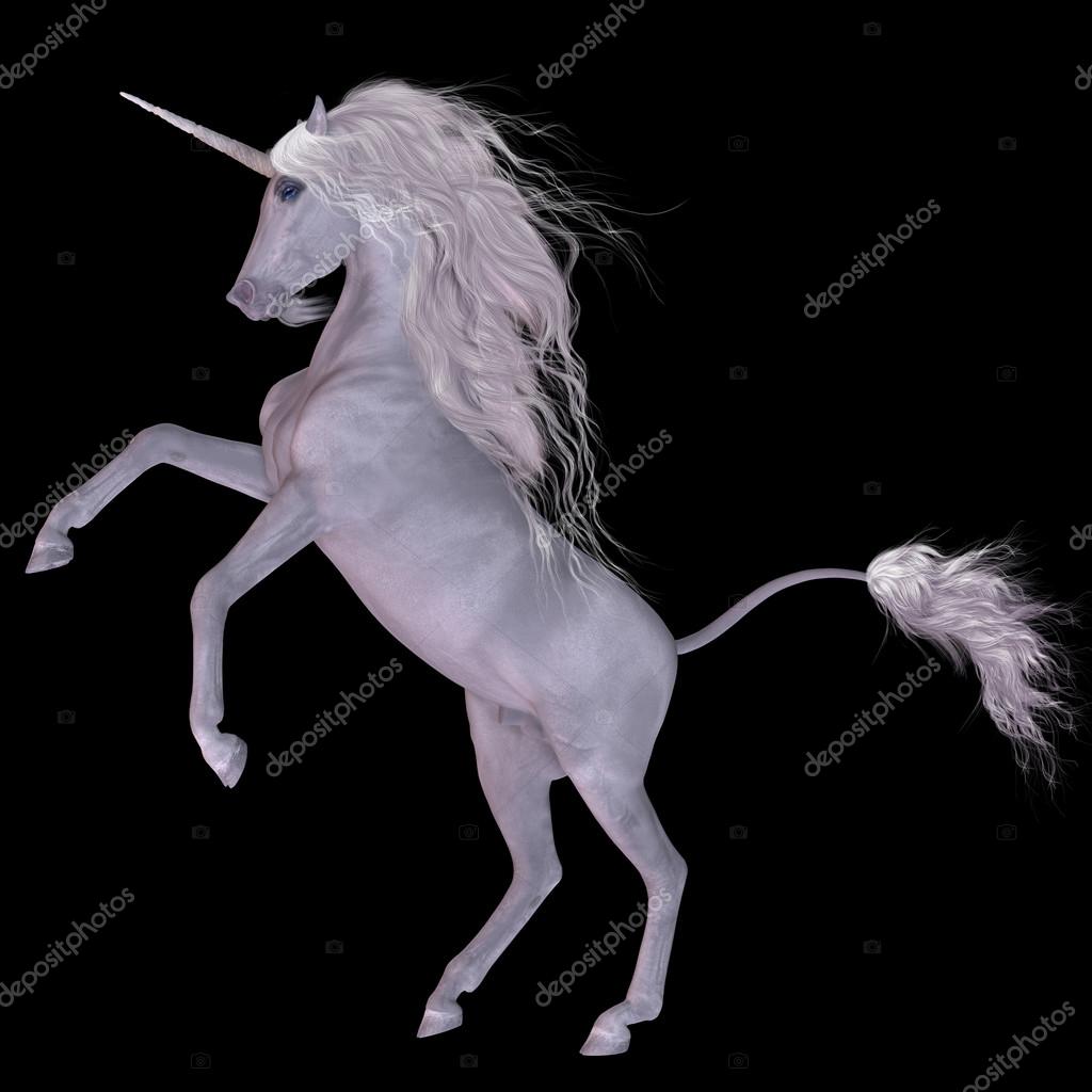 Unicorn on Black — Stock Photo © CoreyFord 53620191