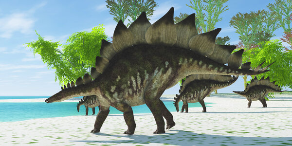 Stegosaurus Lake