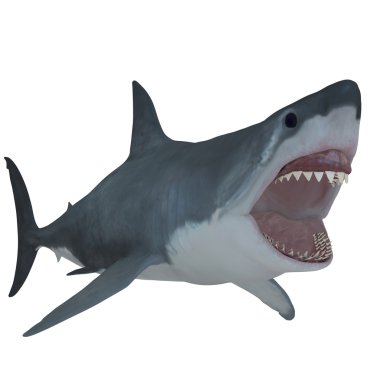 Büyük beyaz açık Jaws