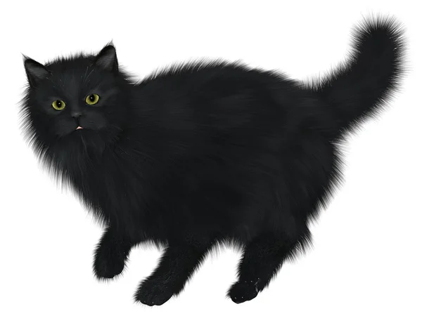 Schwarze Katze läuft — Stockfoto