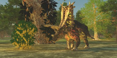 Pentaceratops dinozor