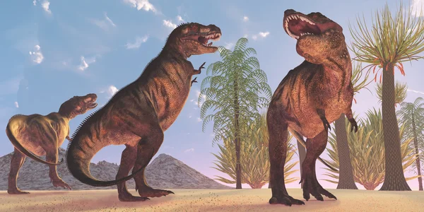 Tyrannosaurus δεινόσαυρος ερημιά — Φωτογραφία Αρχείου