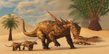 Sauropelta dinozor çölde