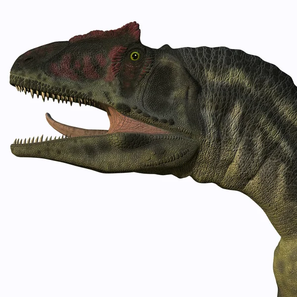 Allosaurus głowy — Zdjęcie stockowe